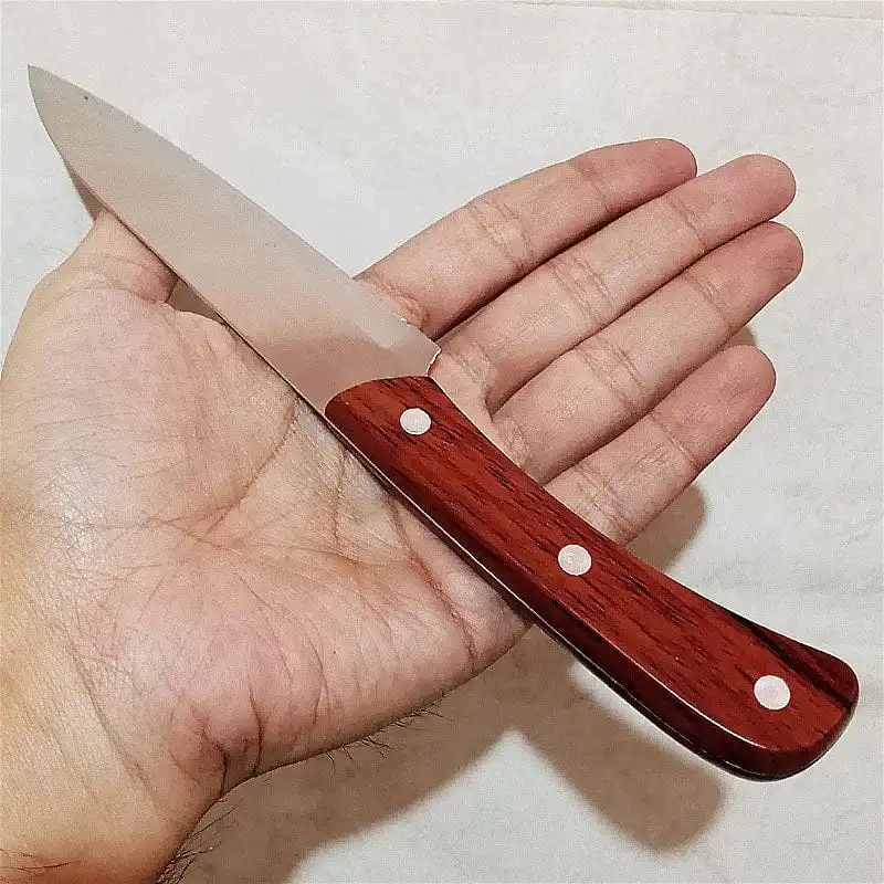 WhatsApp Image 2025-01-14 at 7.26.01 PM